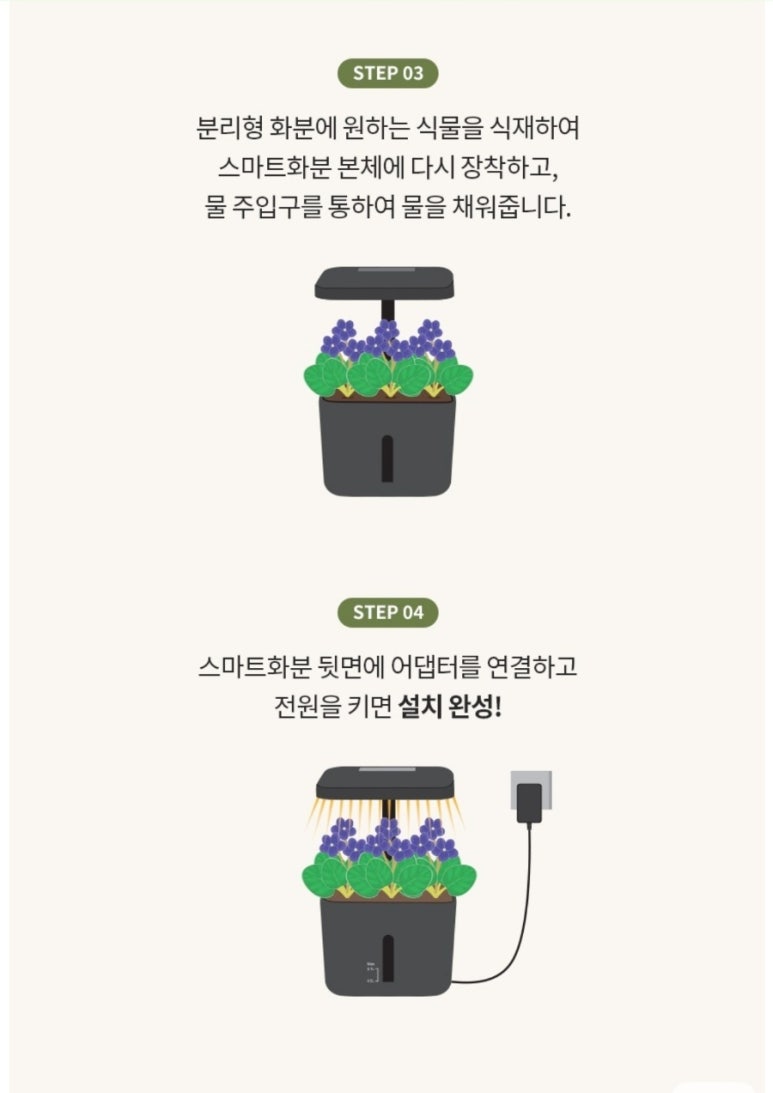 더케이야생화 이미지