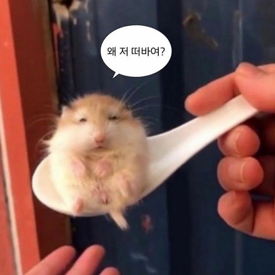 레츠고투어 이미지