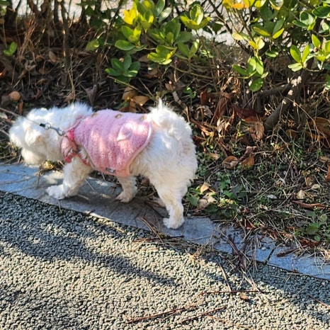 스마일옷수선 매장 사진