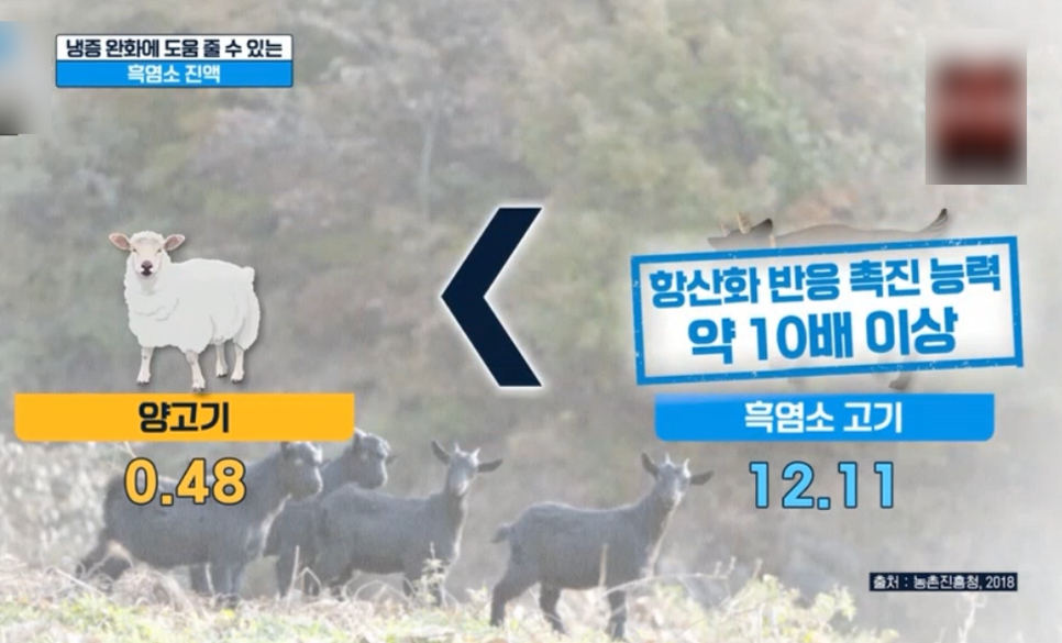 황산흑염소 이미지