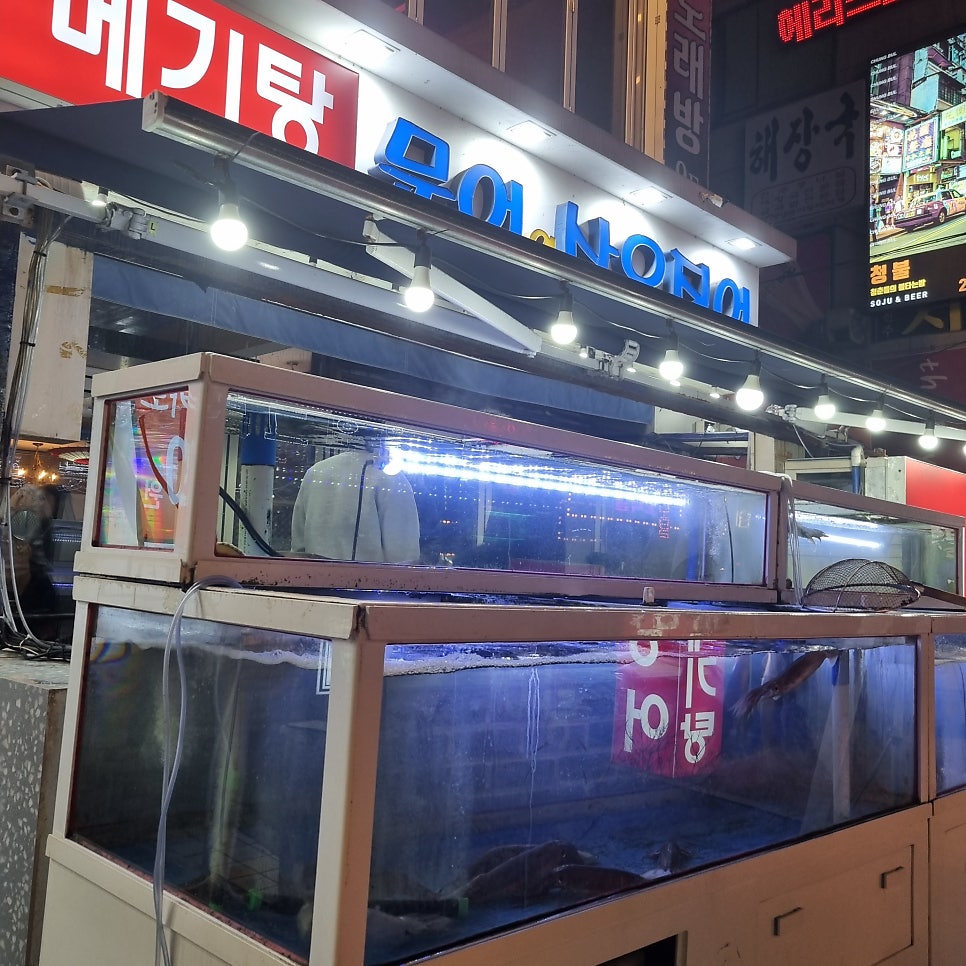 문어와산오징어 이미지