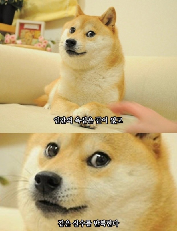짜자장 이미지