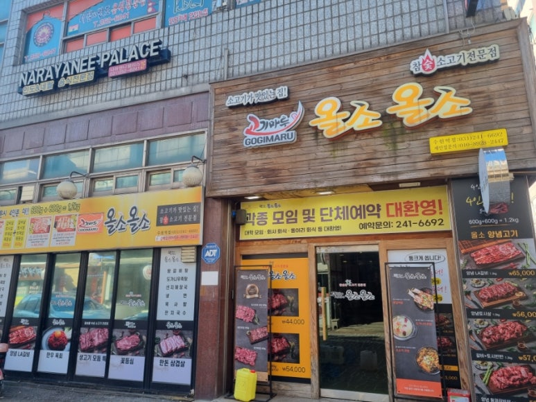 올소올소 이미지