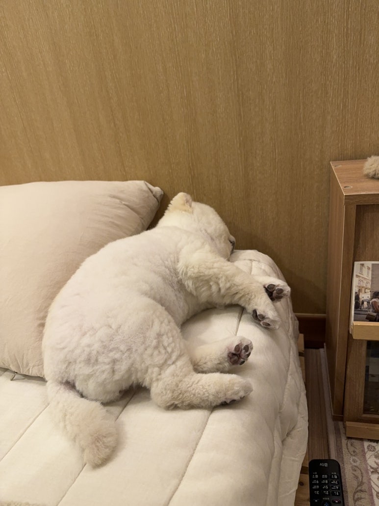 사계2248 이미지