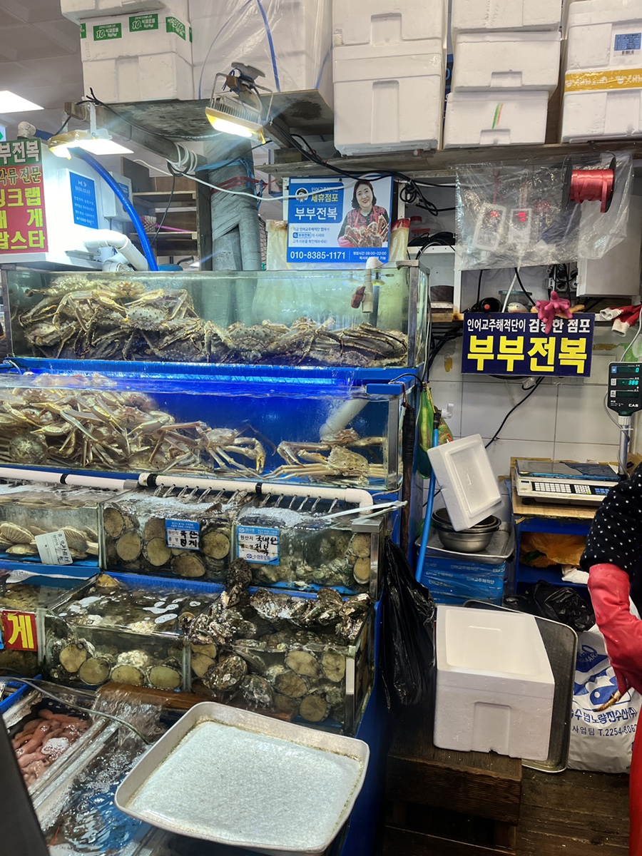 부부수산 이미지