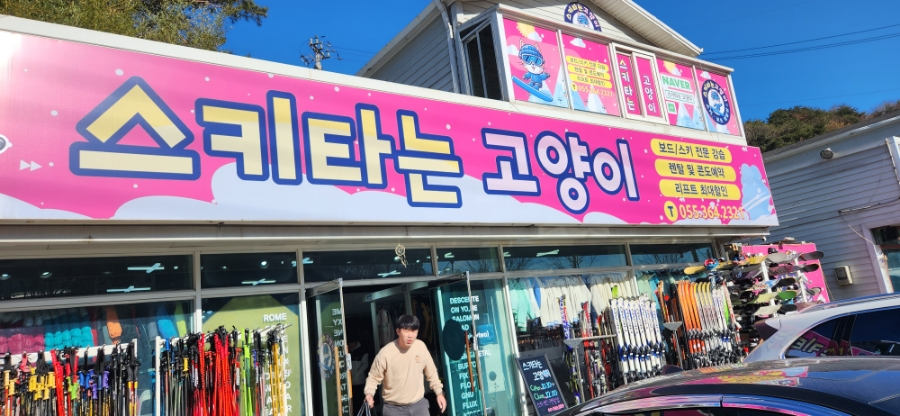 스키타는고양이 이미지