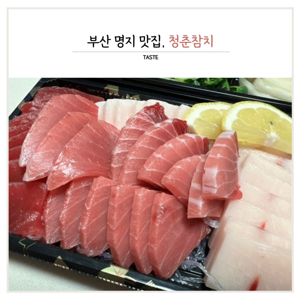 청춘참치 이미지