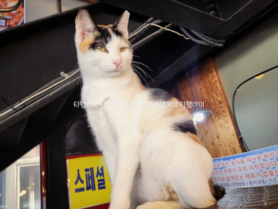 오이도옥귀도횟집 이미지