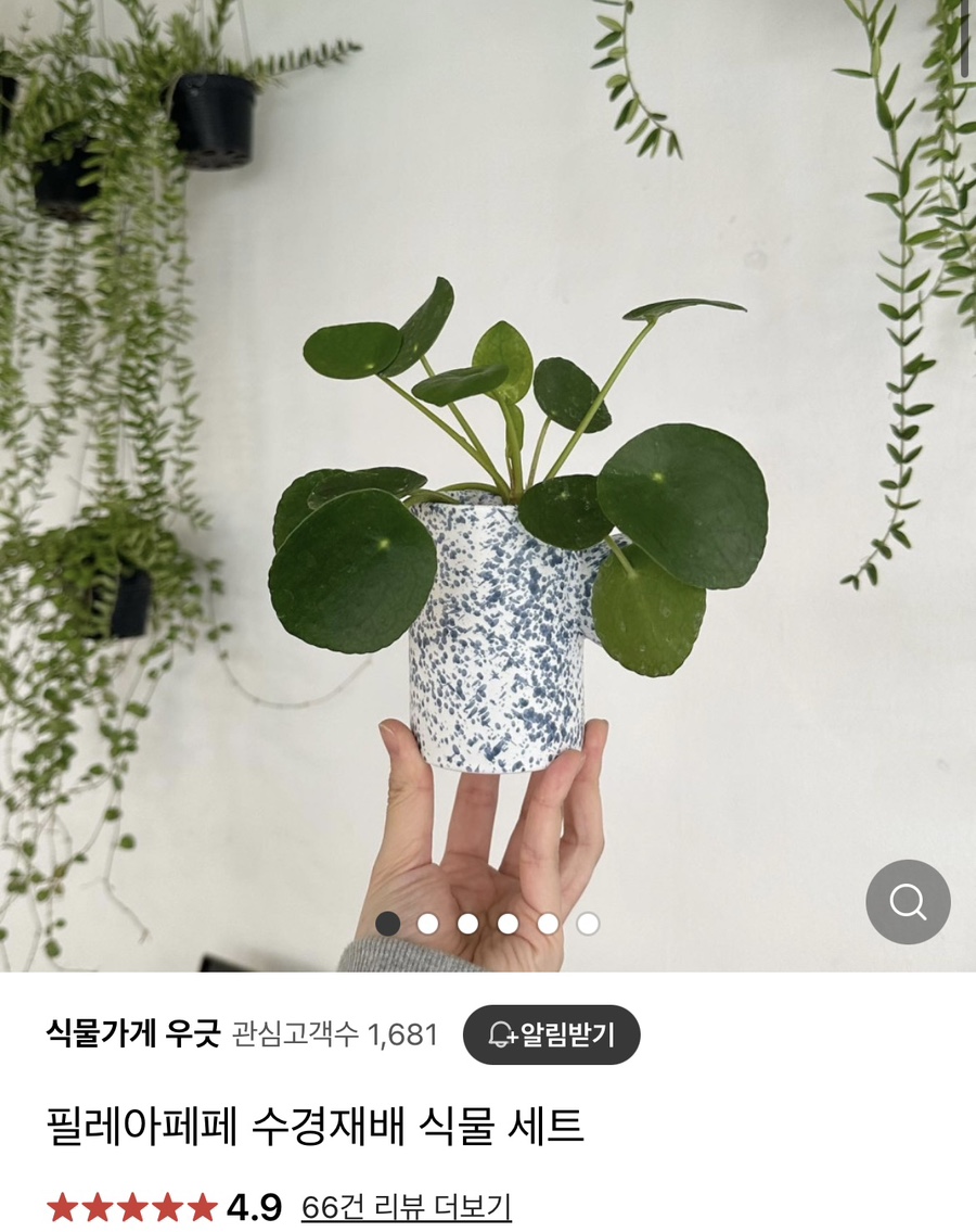 우긋 이미지