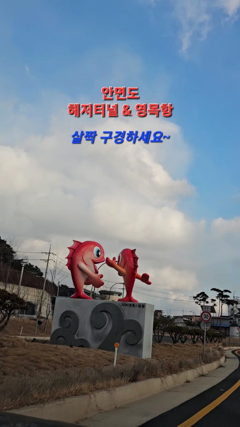 보령댄스학원 이미지