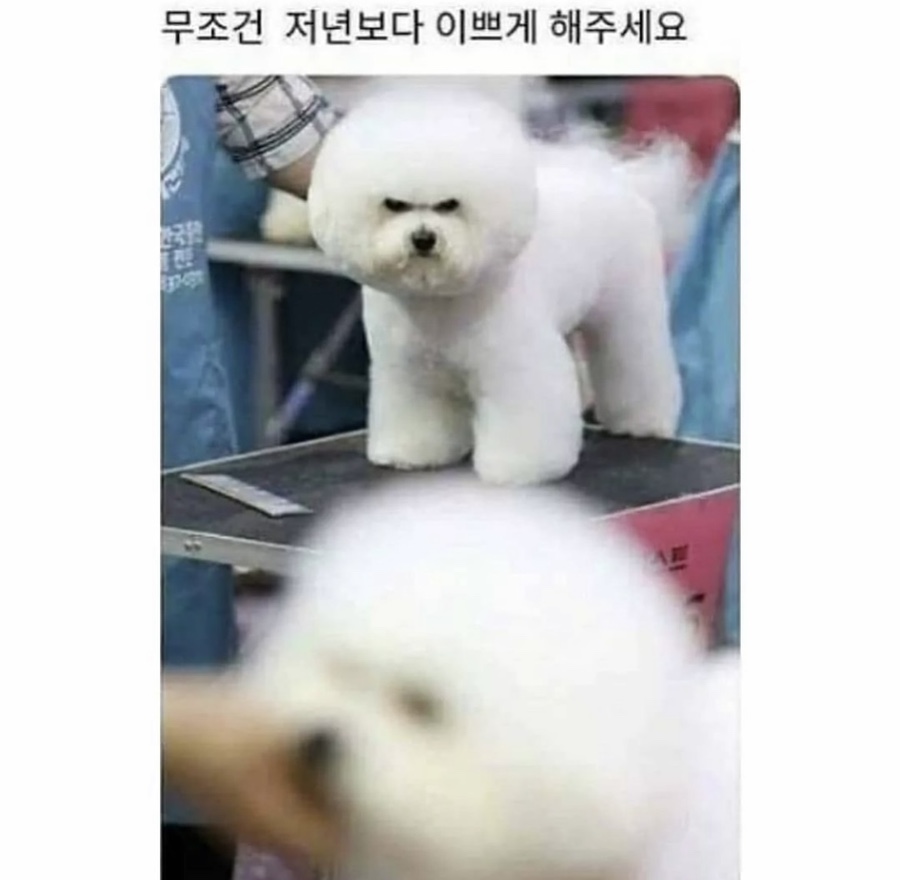 못난이호떡 이미지