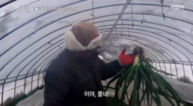 물조리자리 이미지