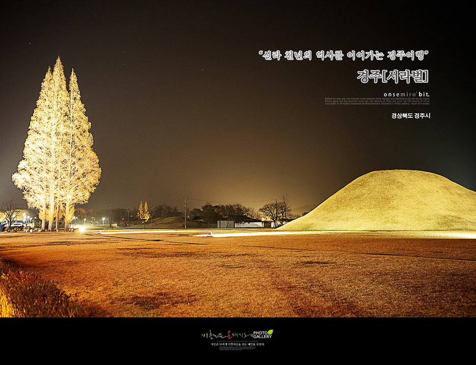 여행일번지지점 이미지