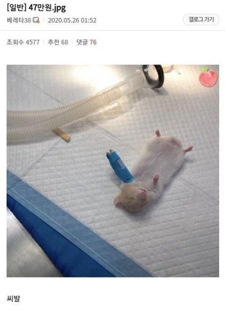 사랑열쇠 이미지