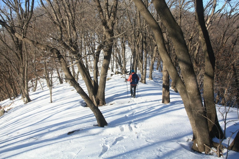 동화루 이미지