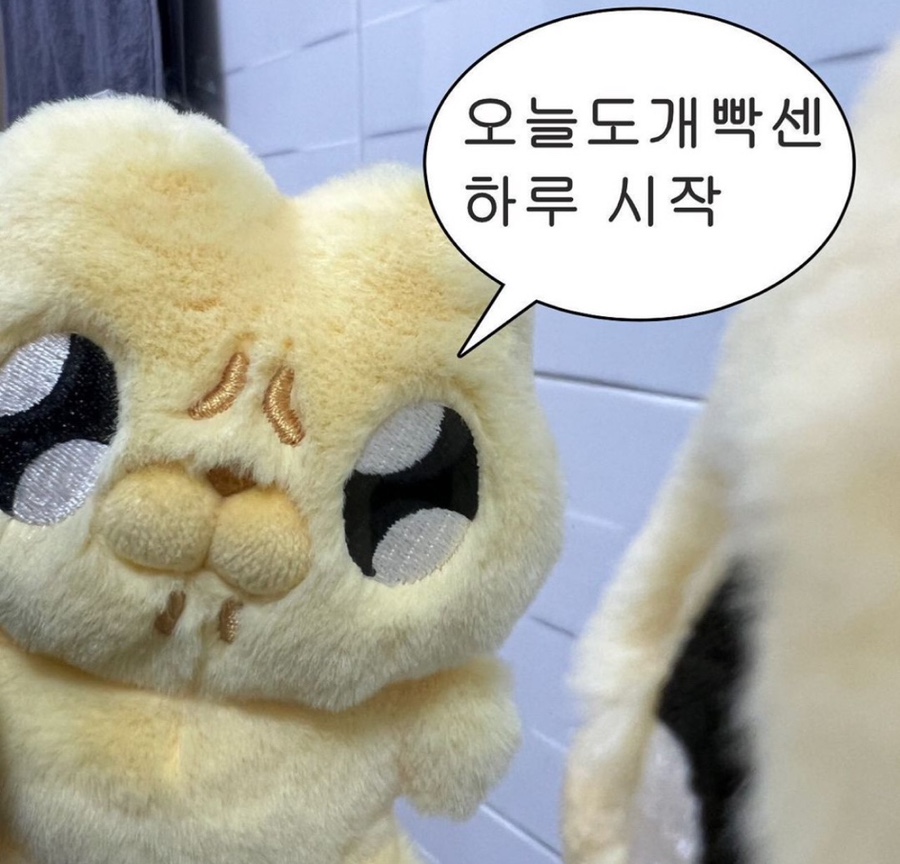 정육까페 이미지