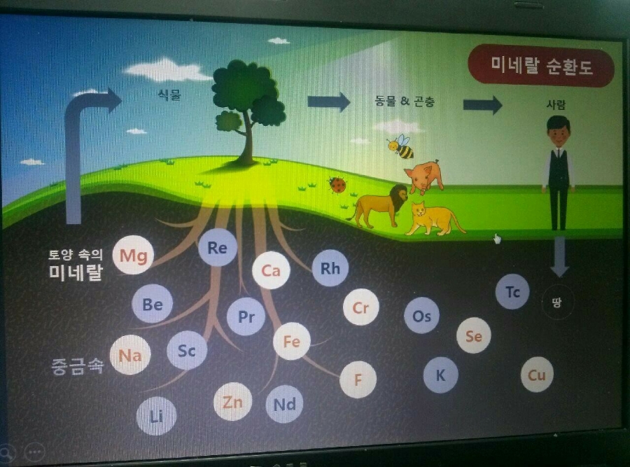 유디아미네랄 이미지