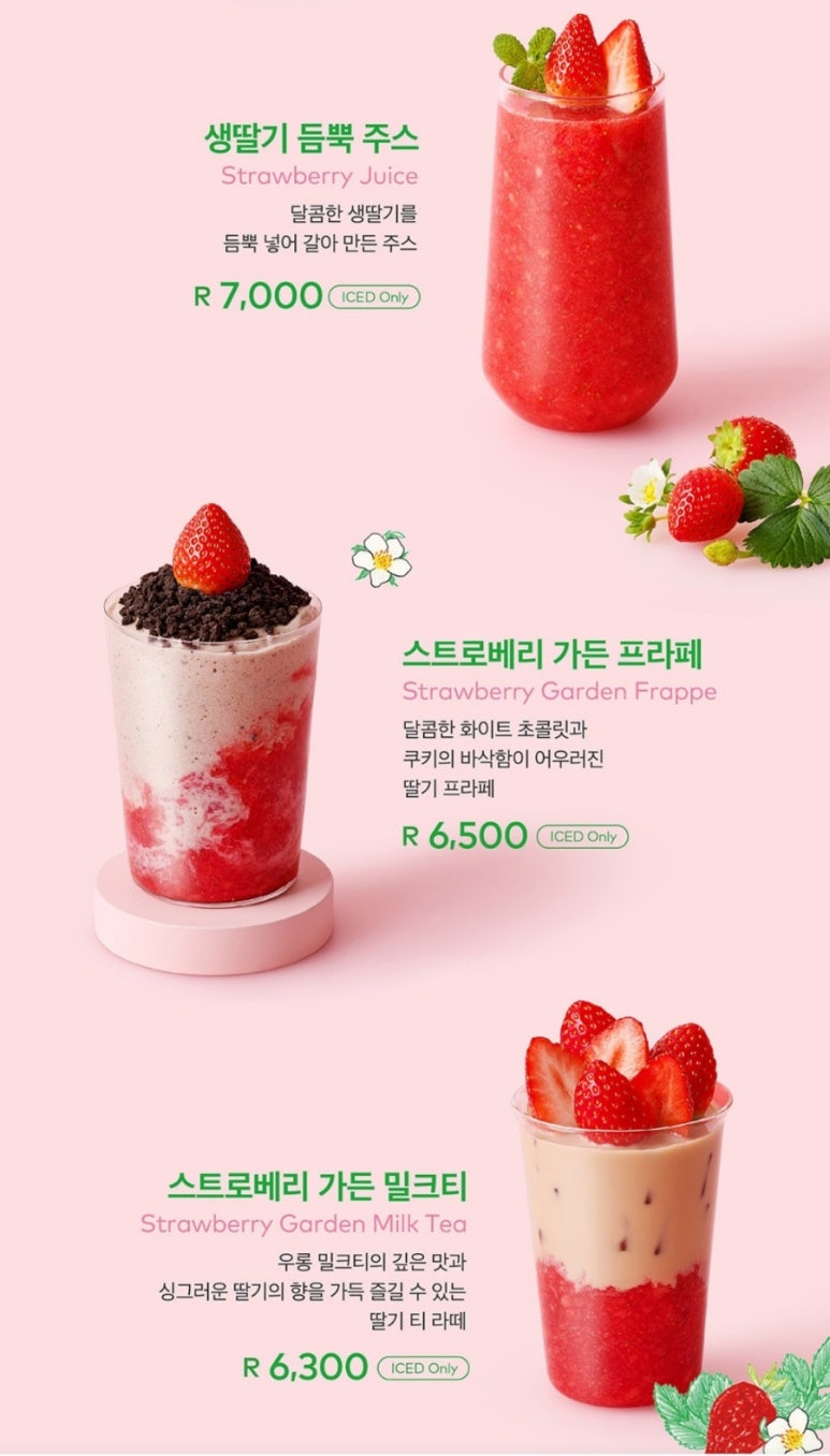 투썸플레이스대구 이미지