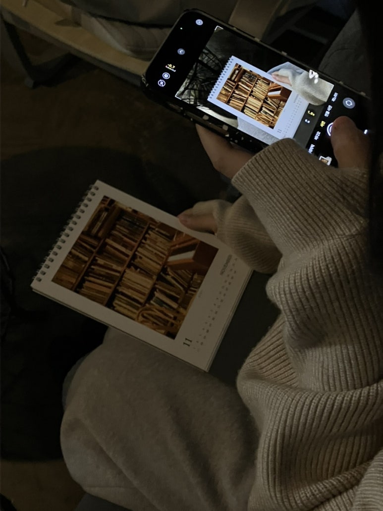 비둘기는멍청해보여 이미지