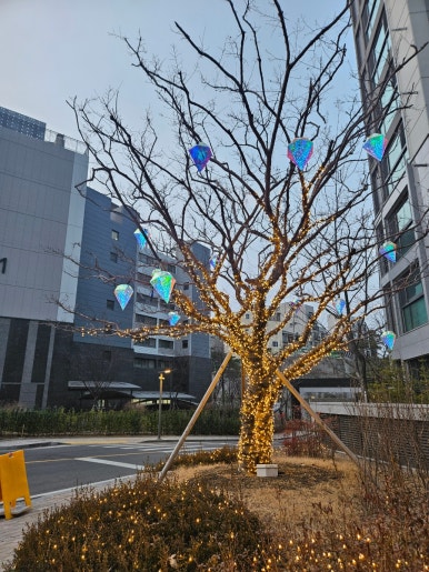 마포더클래시어린이집 이미지