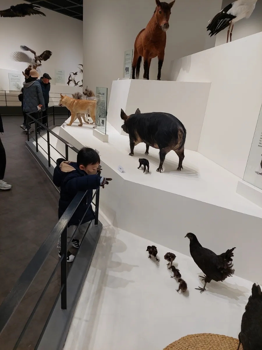 카페브람스 이미지
