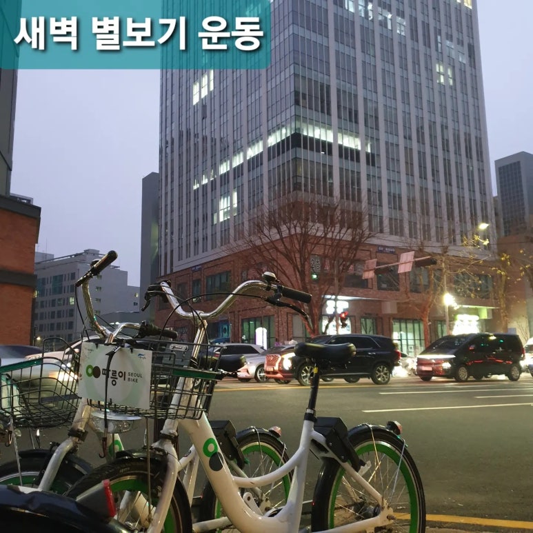 스텔라여행사(주) 이미지