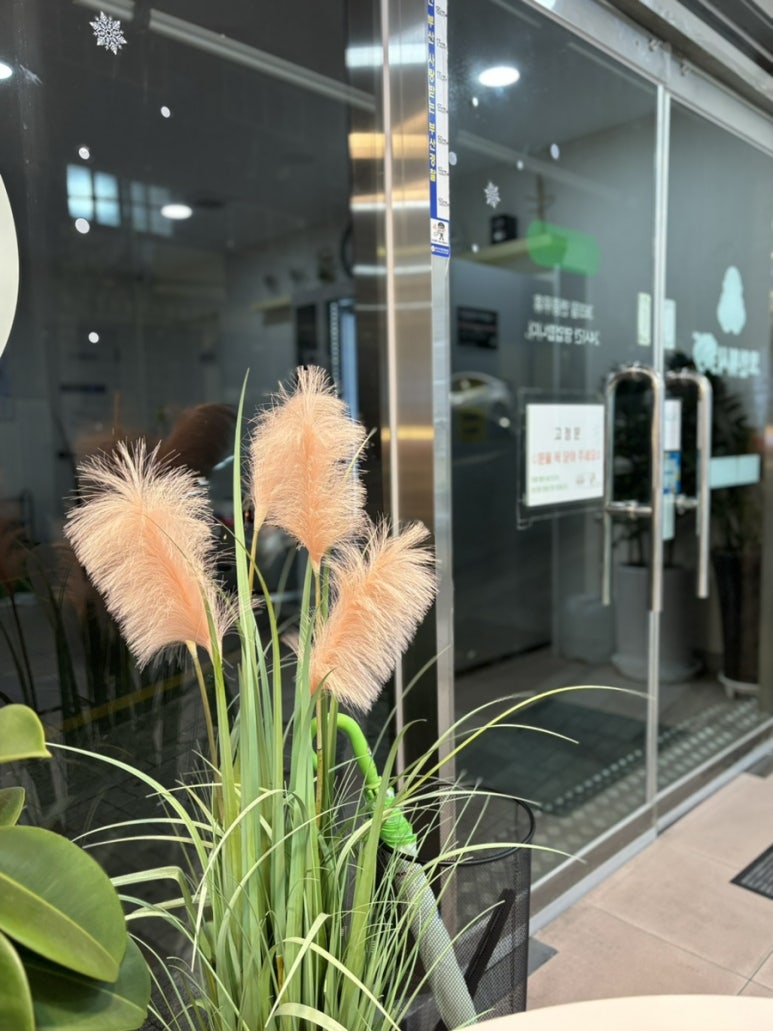 크린토피아코인워시365부산외대점 이미지