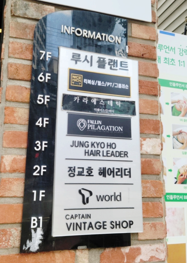 카라에스테틱 이미지