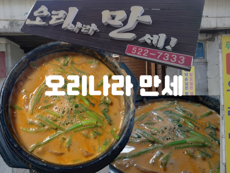 오리나라만세 이미지