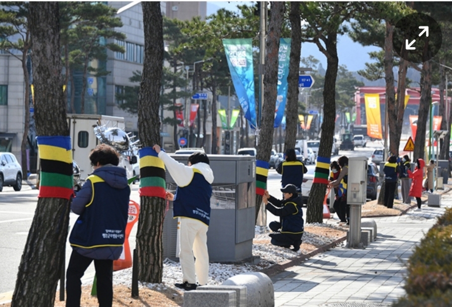 동해손뜨개 이미지