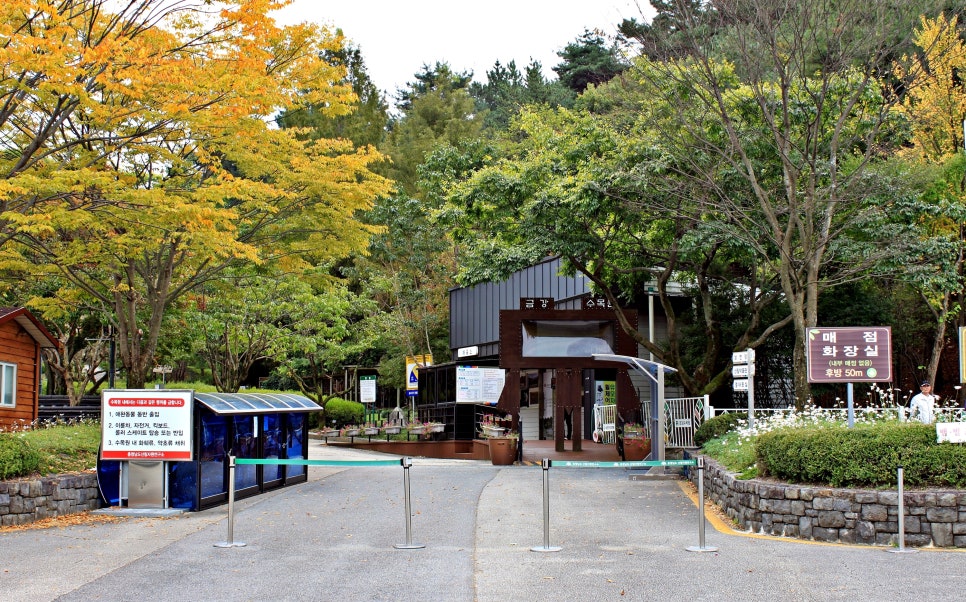 충청남도산림자원연구소(금강자연휴양림) 이미지