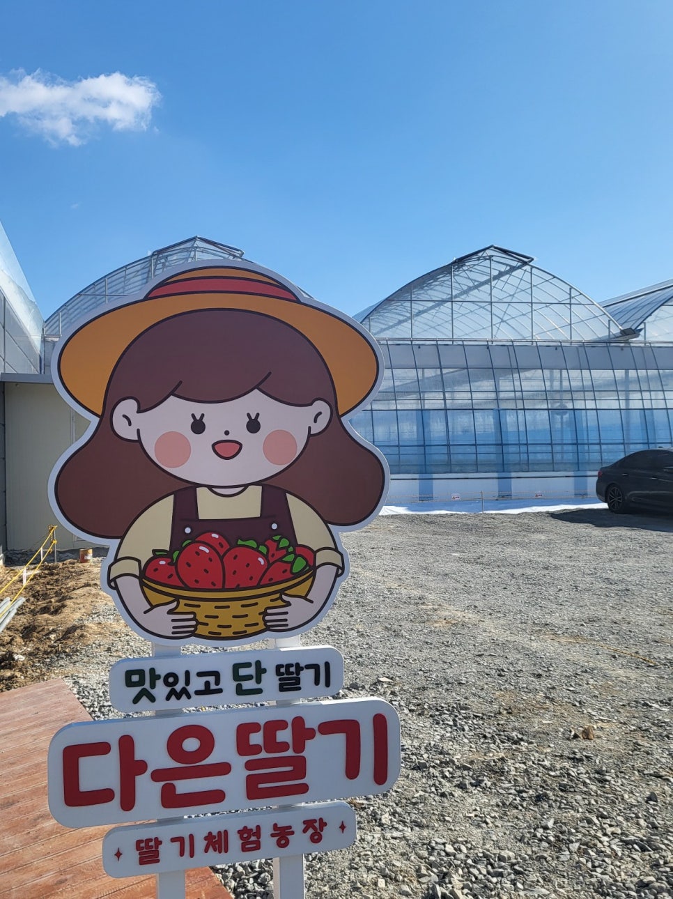 다은딸기 이미지
