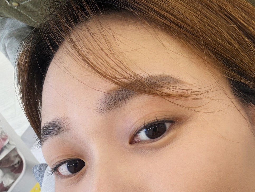 디데이브로우 이미지