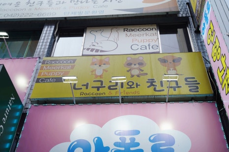 소호헤어대전은행점 이미지