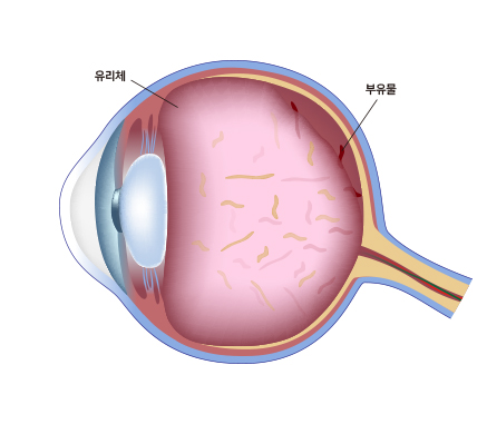 삼계성모안과 이미지
