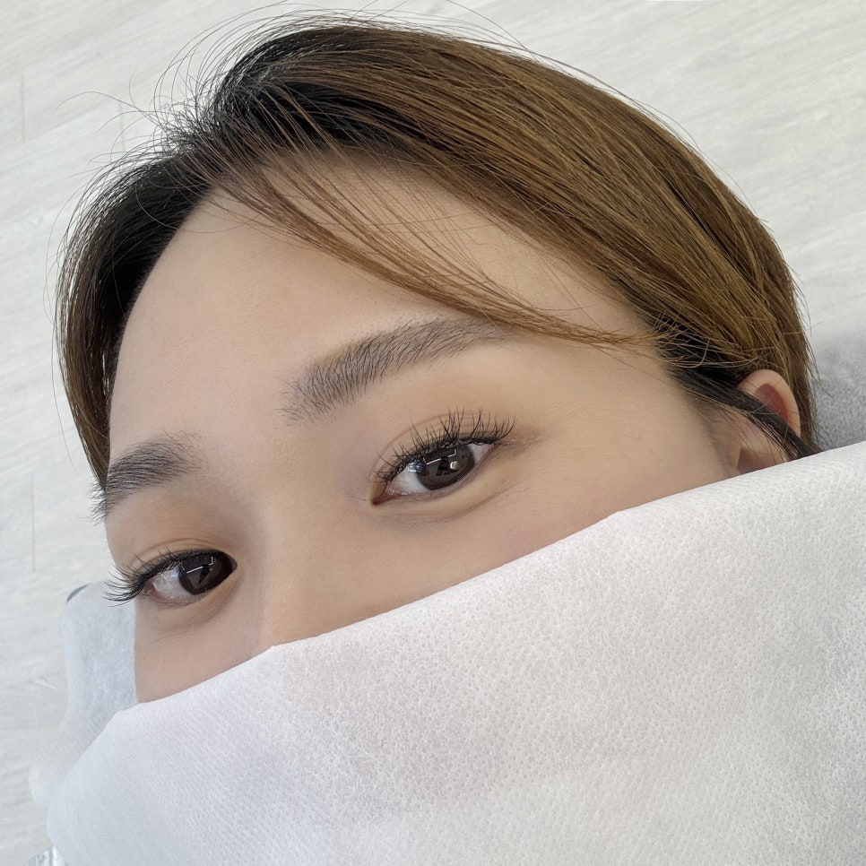 디데이브로우 이미지