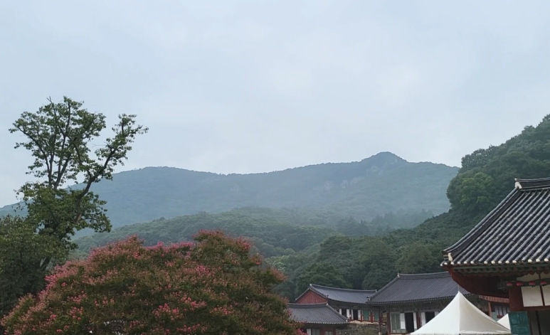 정승상사 이미지