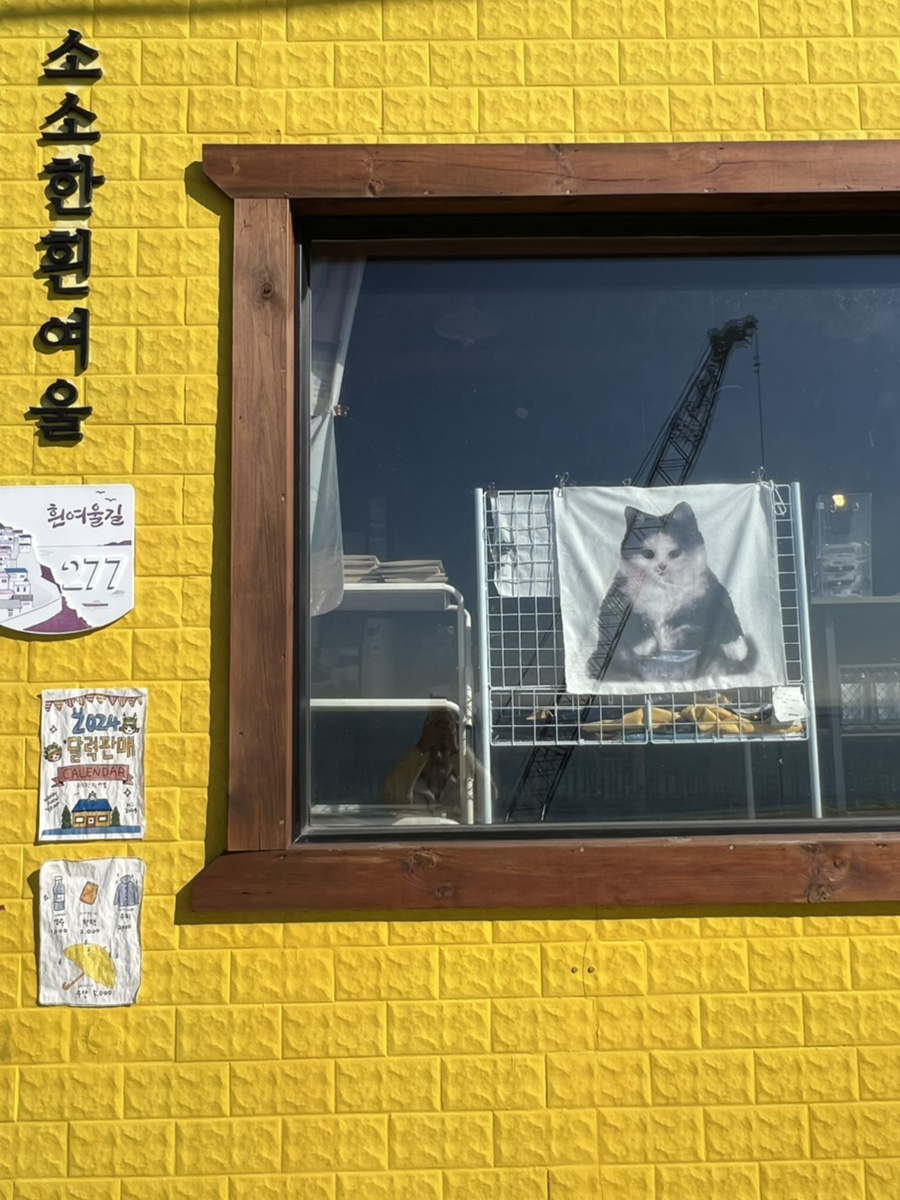 레이지캣(lazycat) 이미지