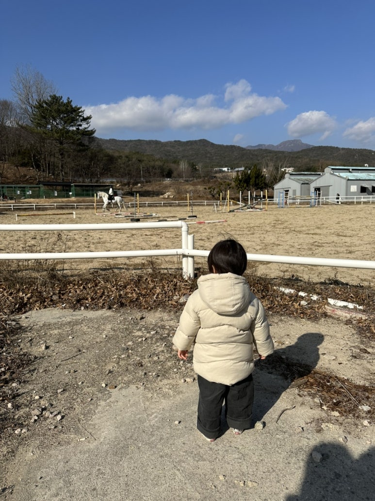 해운관광 이미지