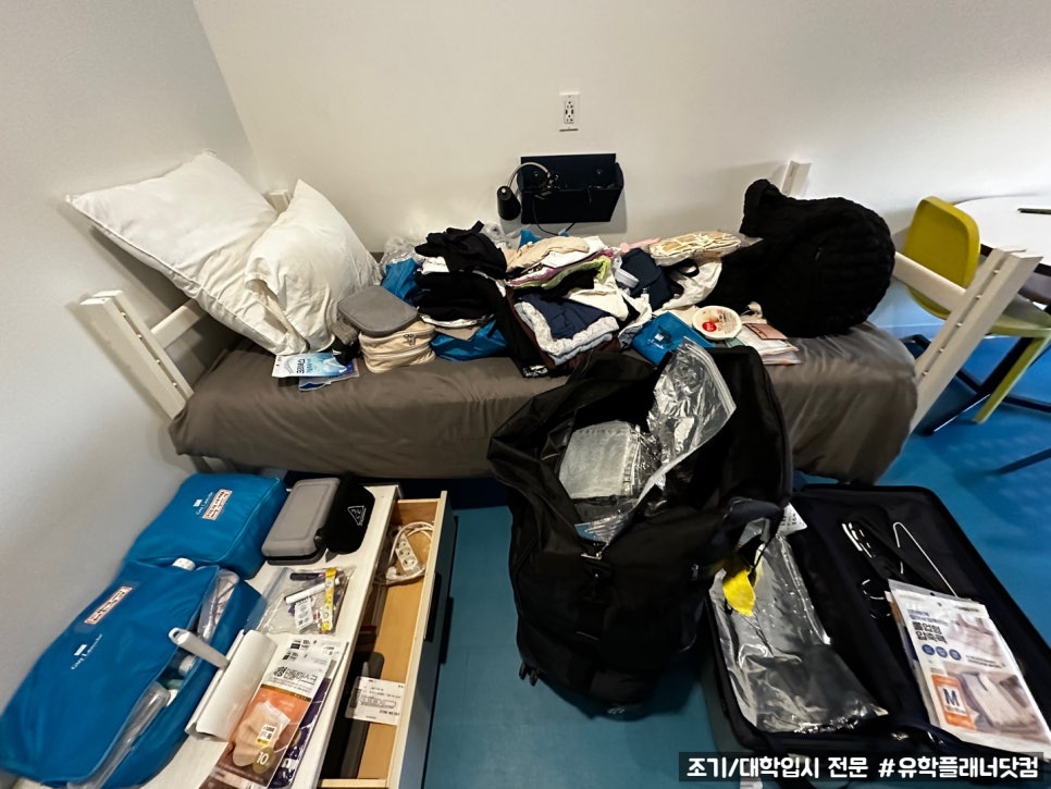 미국유학닷컴분당지사 이미지