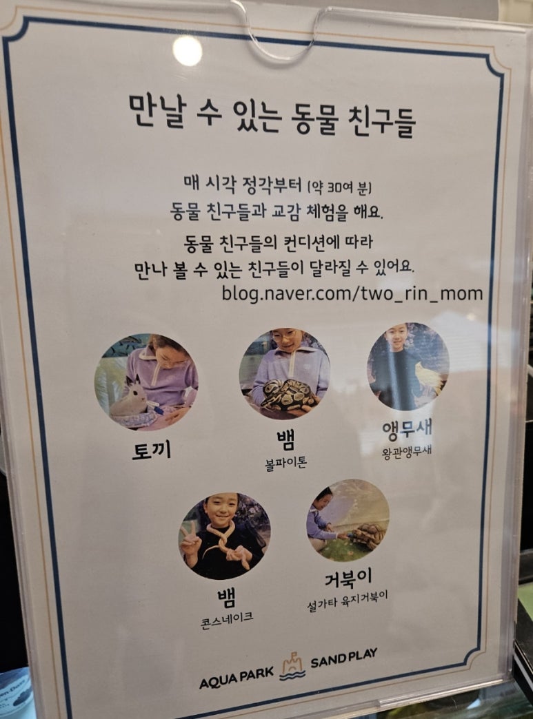 아쿠아파크 이미지