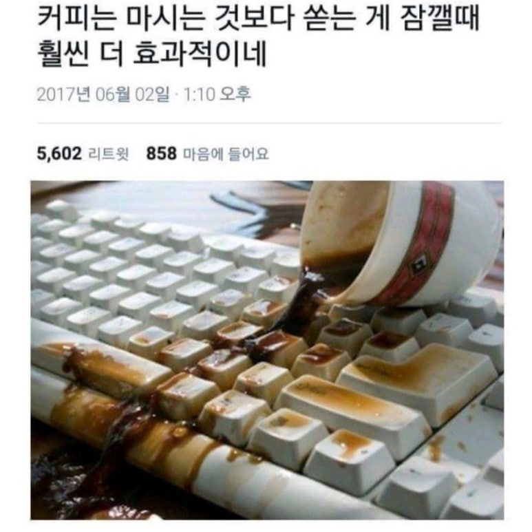 로또랑붕어빵 이미지
