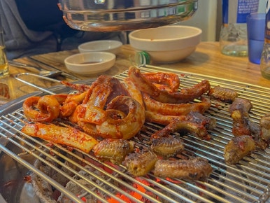 등대지기꼼장어 이미지