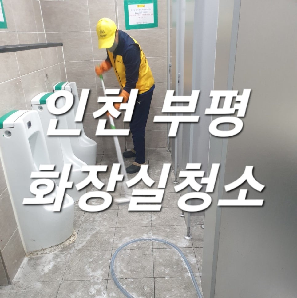돌핀크린 이미지