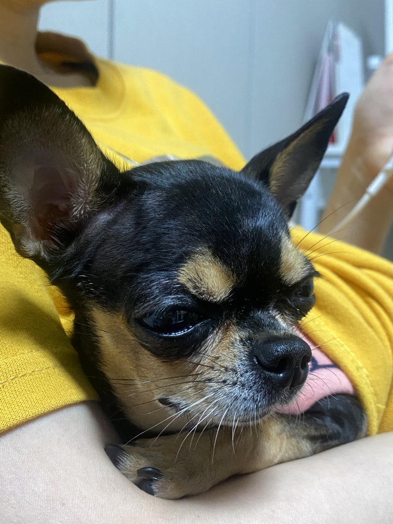 세참연회 이미지