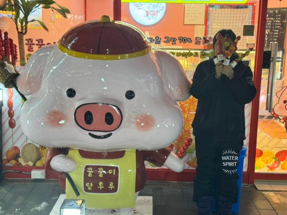 꿀꿀이탕후루 이미지