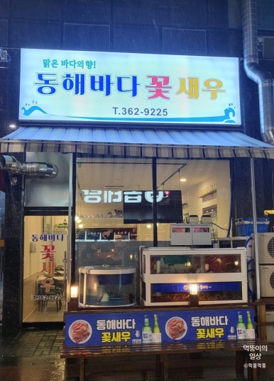 동해바다꽃새우 이미지