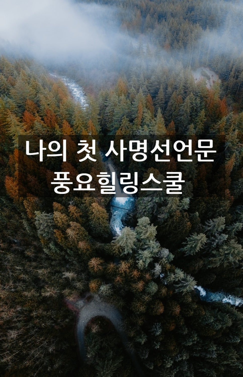 로젠탈 컨설팅 이미지