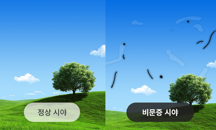 삼계성모안과 이미지