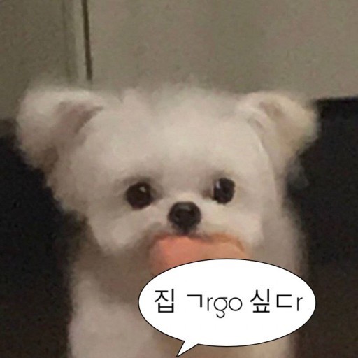 인스네어 이미지